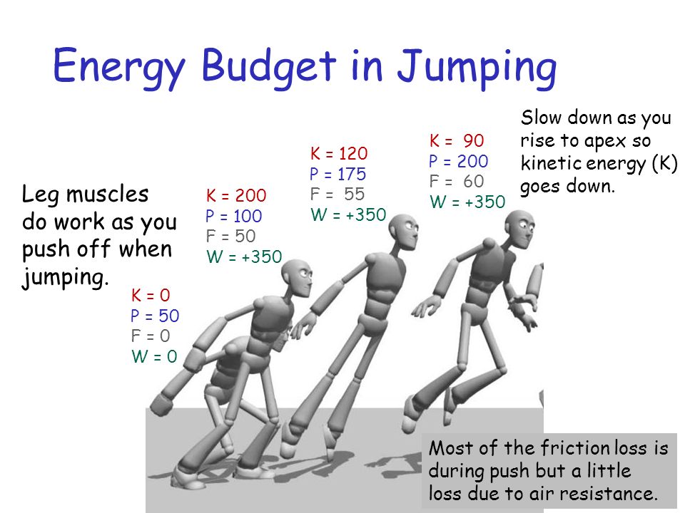 Energy Budget in Jumping K = 0 P = 50 F = 0 W = 0 K = 200 P = 100 F = 50 W = +350 K = 120 P = 175 F = 55 W = +350 K = 90 P = 200 F = 60 W = +350 Leg muscles do work as you push off when jumping.