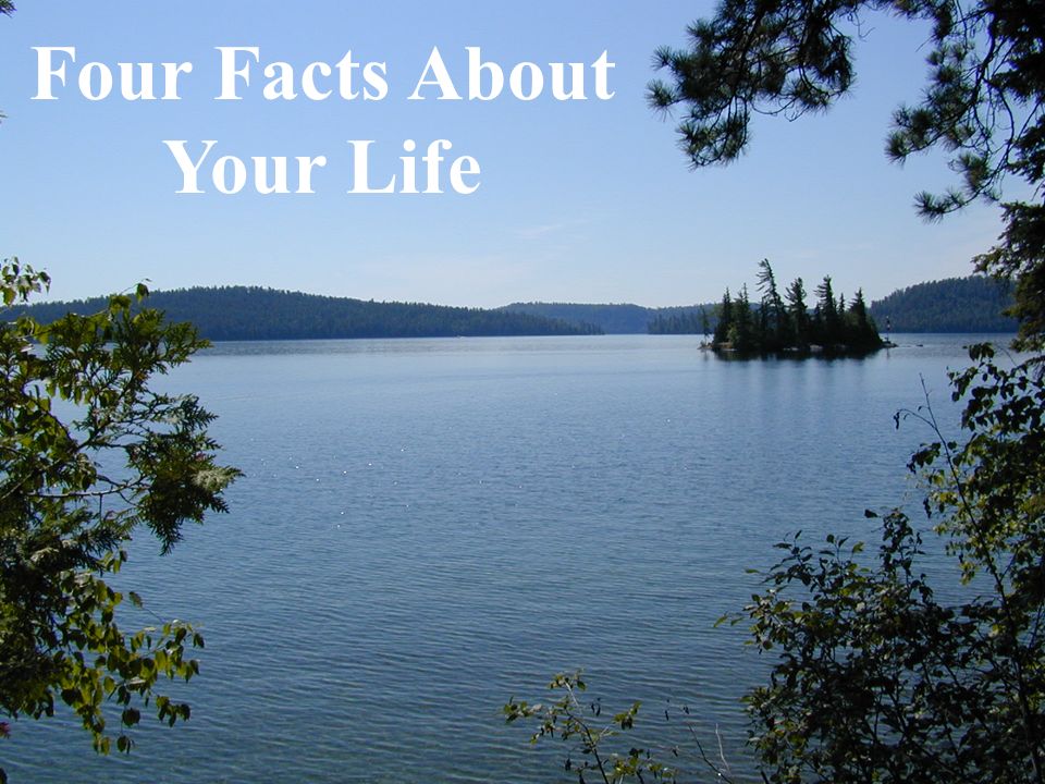 Four Facts About Your Life