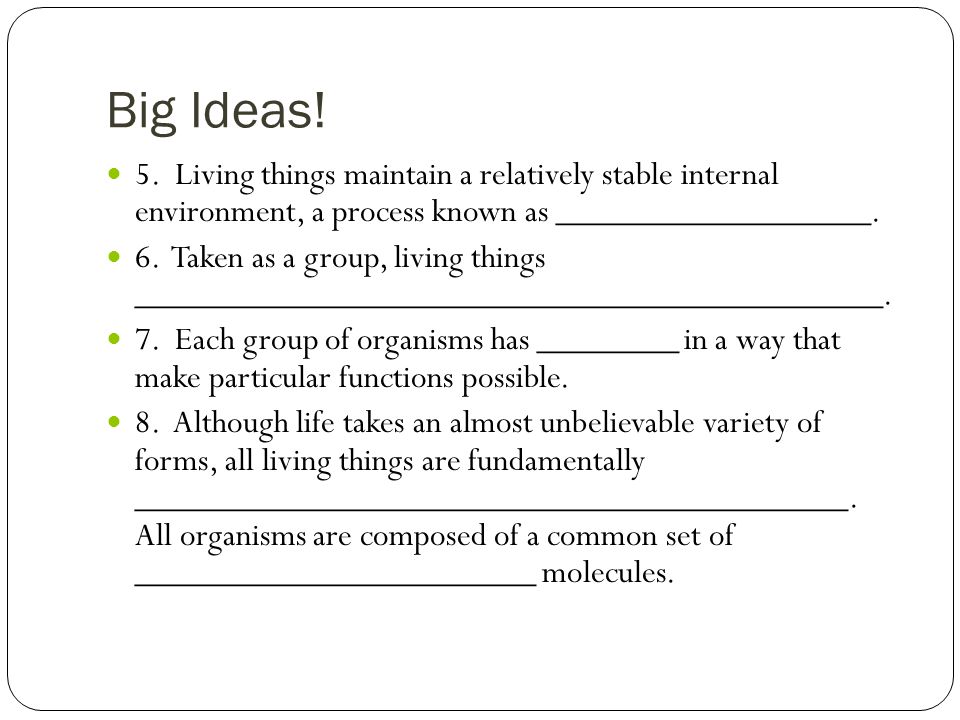Big Ideas. 5.