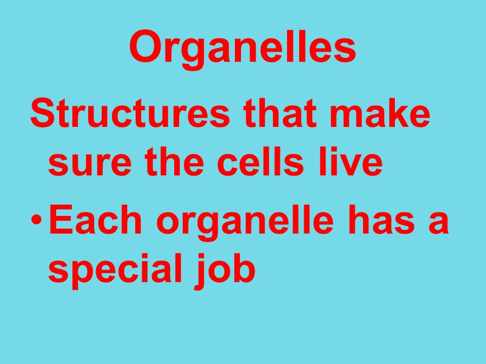 Organelles Structures that make sure the cells live Each organelle has a special job