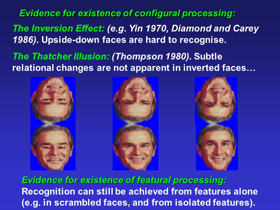 Evidence for existence of configural processing: The Inversion Effect: (e.g.