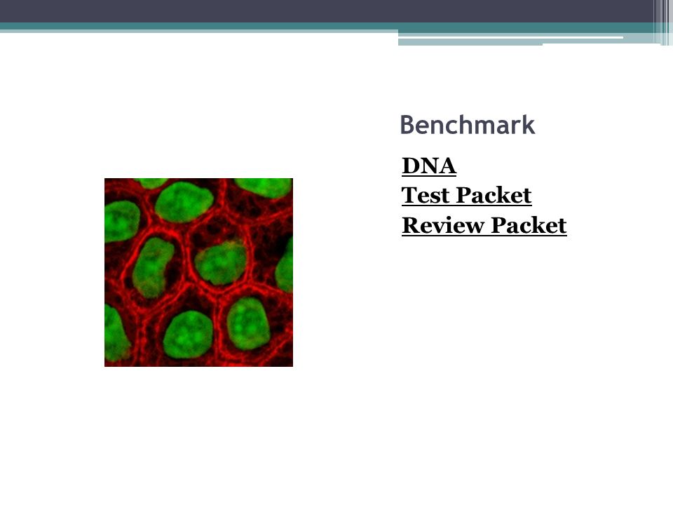 Benchmark DNA Test Packet Review Packet