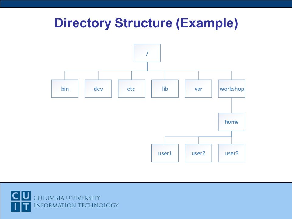 Directory Structure (Example)