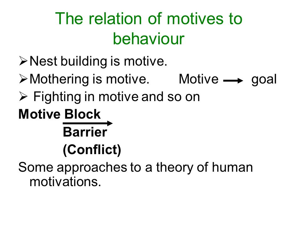 The relation of motives to behaviour  Nest building is motive.