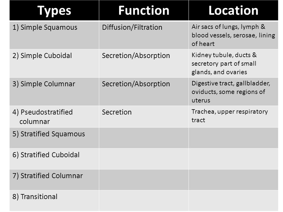 TypesFunctionLocation 1) Simple SquamousDiffusion/Filtration Air sacs of lungs, lymph & blood vessels, serosae, lining of heart 2) Simple CuboidalSecretion/Absorption Kidney tubule, ducts & secretory part of small glands, and ovaries 3) Simple ColumnarSecretion/Absorption Digestive tract, gallbladder, oviducts, some regions of uterus 4) Pseudostratified columnar Secretion Trachea, upper respiratory tract 5) Stratified Squamous 6) Stratified Cuboidal 7) Stratified Columnar 8) Transitional
