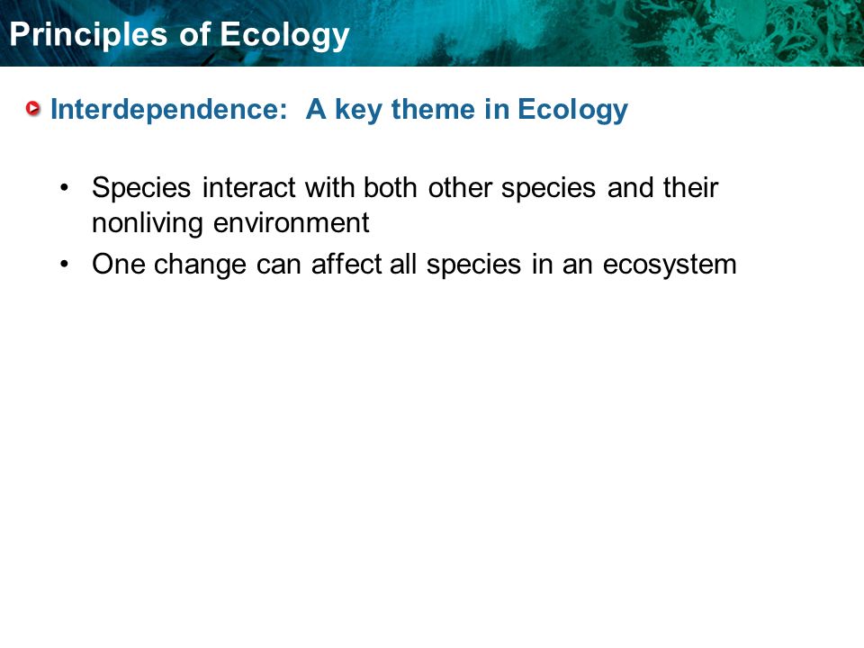 Food Chains And Food Webs Principles of Ecology Interdependence: A key theme in Ecology Species interact with both other species and their nonliving environment One change can affect all species in an ecosystem