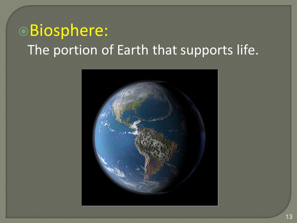  Biosphere: The portion of Earth that supports life. 13