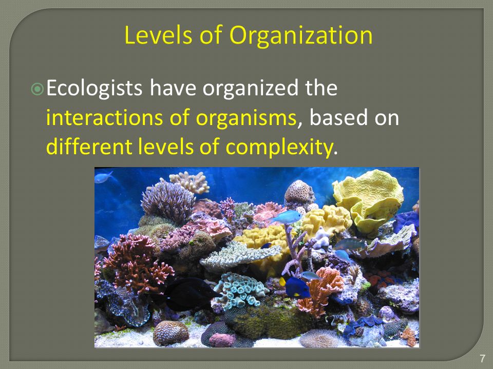  Ecologists have organized the interactions of organisms, based on different levels of complexity.