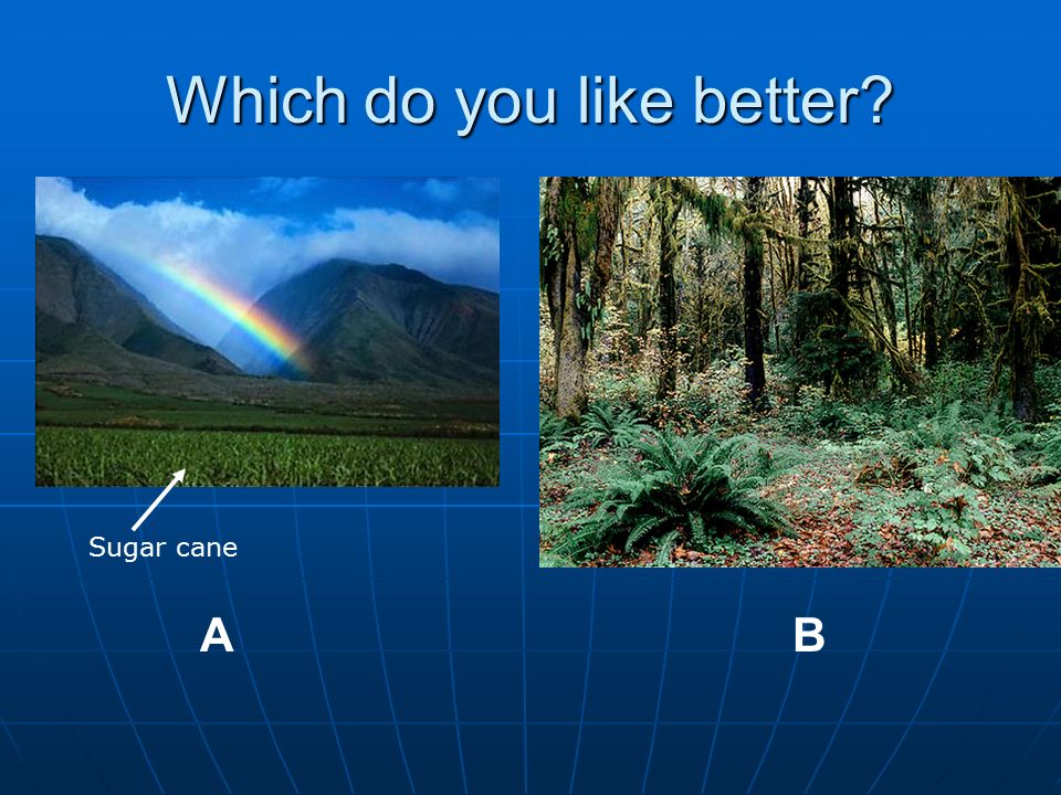 Biodiversity Ab Which Do You Like Better Circa Ppt Download