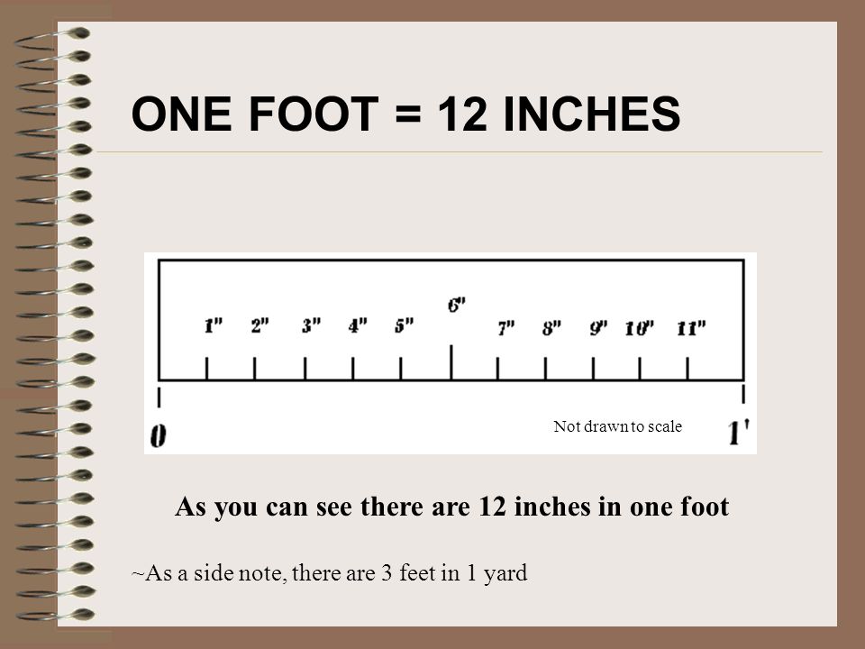 ONE FOOT = 12 INCHES As you can see there are 12 inches in one... 