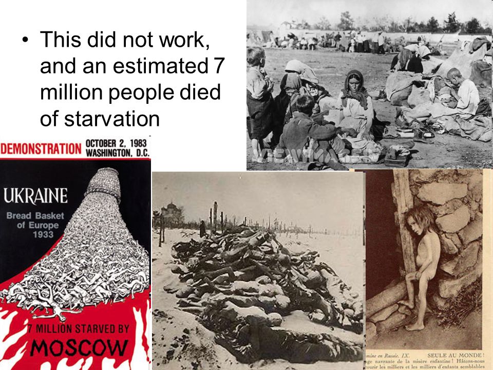 This did not work, and an estimated 7 million people died of starvation