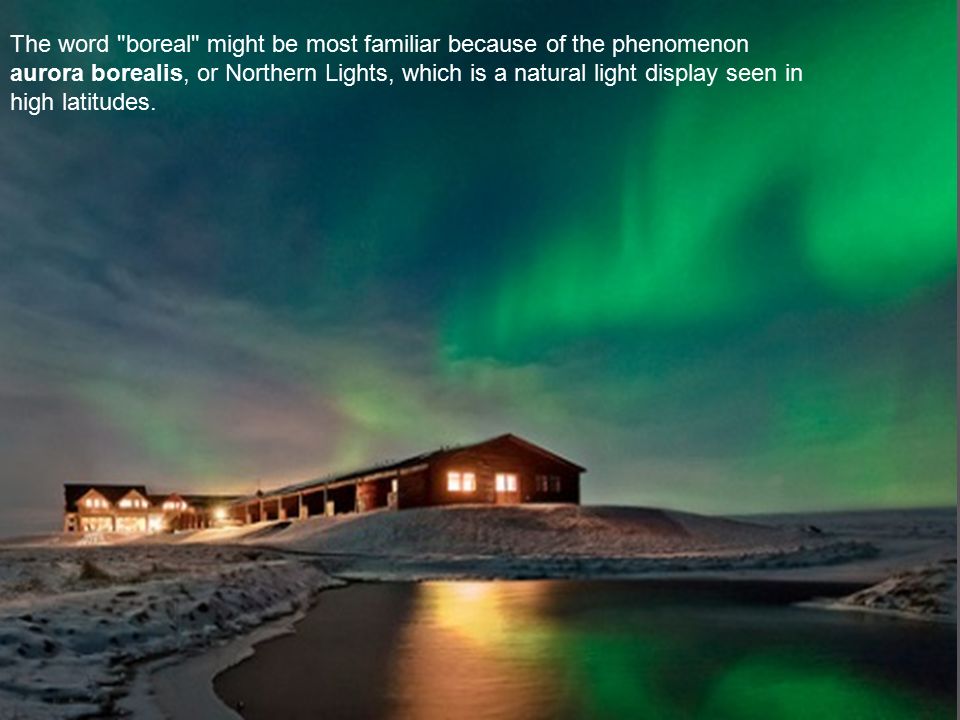 The word boreal might be most familiar because of the phenomenon aurora borealis, or Northern Lights, which is a natural light display seen in high latitudes.