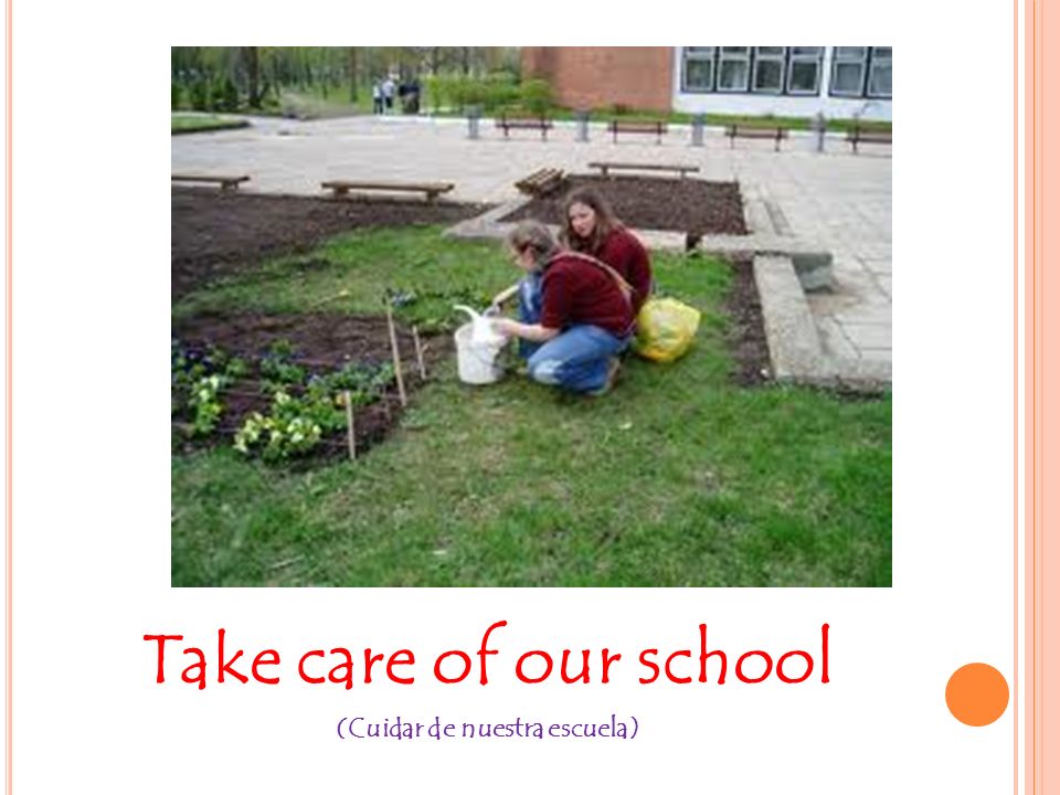 Take care of our school (Cuidar de nuestra escuela)