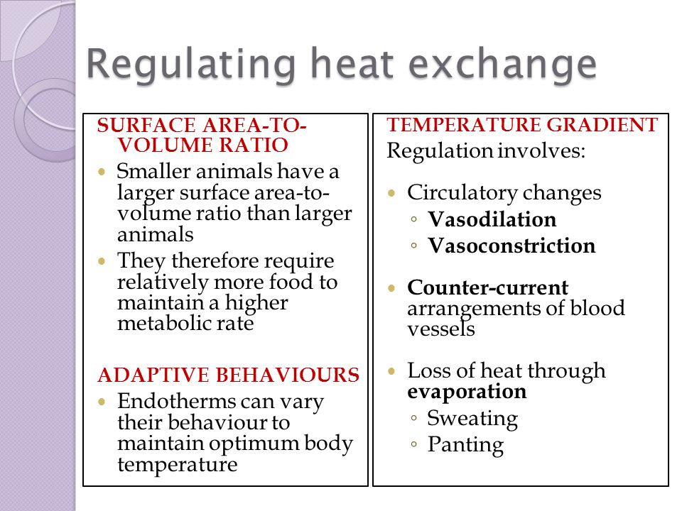 Thermoregulation Biology Stage 3 Chapter 15 Pages ppt download