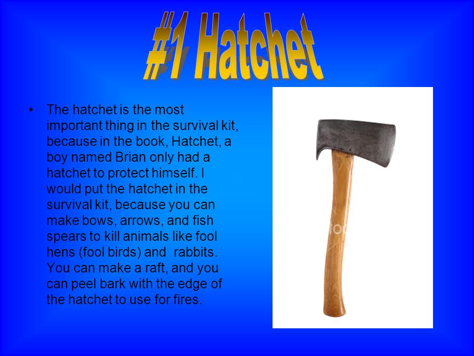 Survival Kit. The hatchet is the most important thing in the survival kit,  because in the book, Hatchet, a boy named Brian only had a hatchet to  protect. - ppt download