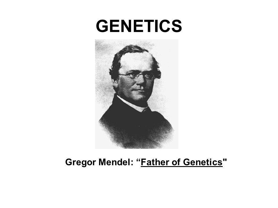 why is mendel the father of genetics