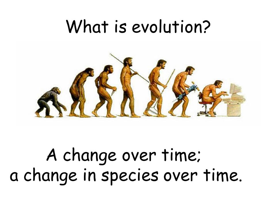 Theory of Evolution. is evolution? A change over time; a in species over time. - download