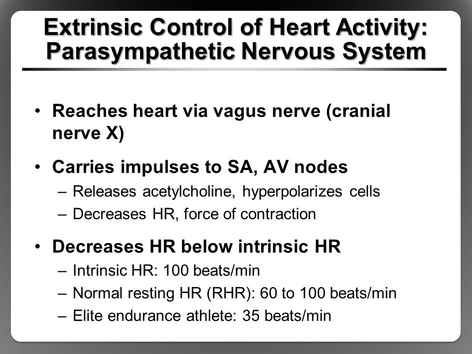Extrinsic Control of Heart Activity: Parasympathetic Nervous System Reaches heart via vagus nerve (cranial nerve X) Carries impulses to SA, AV nodes –Releases acetylcholine, hyperpolarizes cells –Decreases HR, force of contraction Decreases HR below intrinsic HR –Intrinsic HR: 100 beats/min –Normal resting HR (RHR): 60 to 100 beats/min –Elite endurance athlete: 35 beats/min