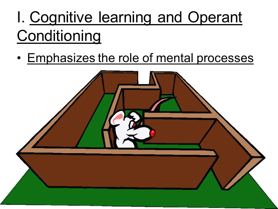 I. Cognitive learning and Operant Conditioning Emphasizes the role of mental processes