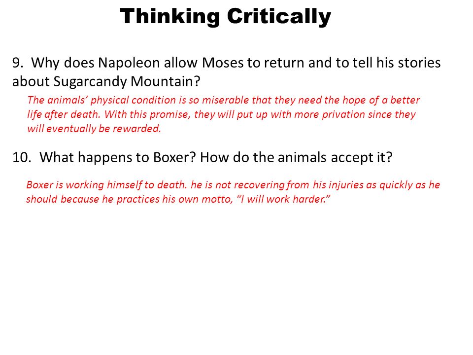By George Orwell Directions: On the left side, there is an important quote  from Animal Farm. On the right side, explain the significance of the quote.  - ppt download