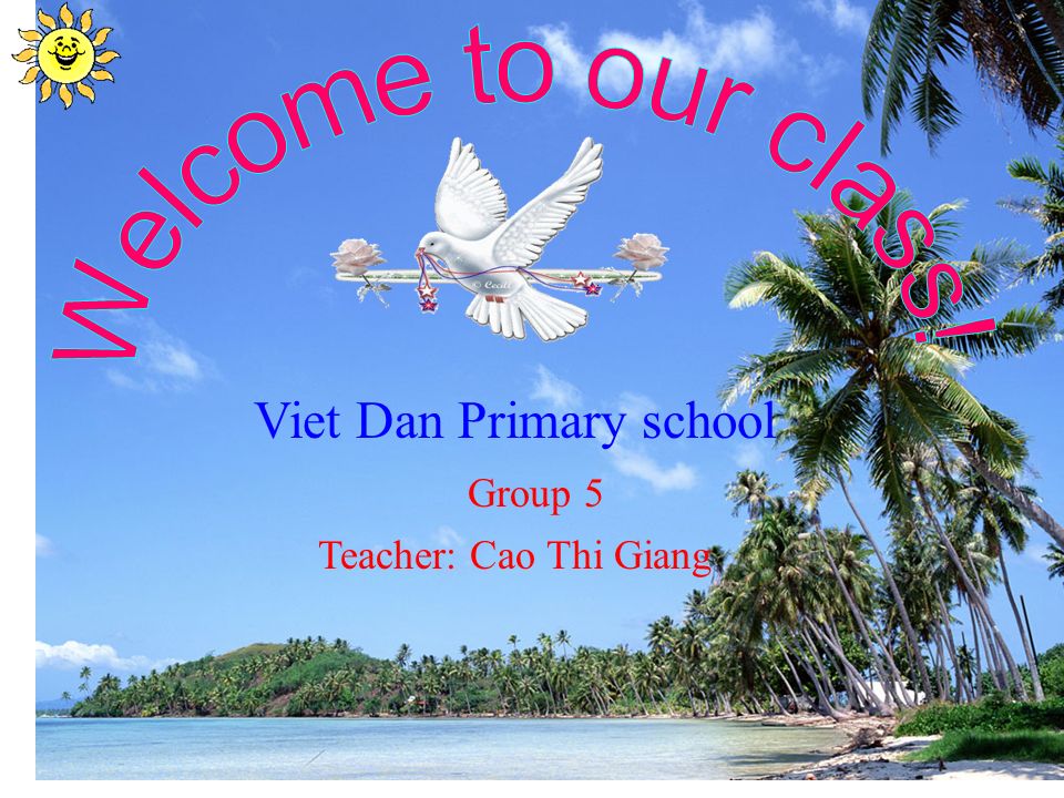Viet Dan Primary school Teacher: Cao Thi Giang Group 5