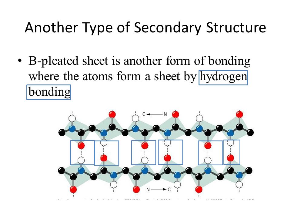 Another Type of Secondary Structure Β-pleated sheet is another form of bonding where the atoms form a sheet by hydrogen bonding