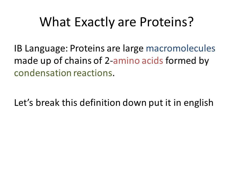 What Exactly are Proteins.