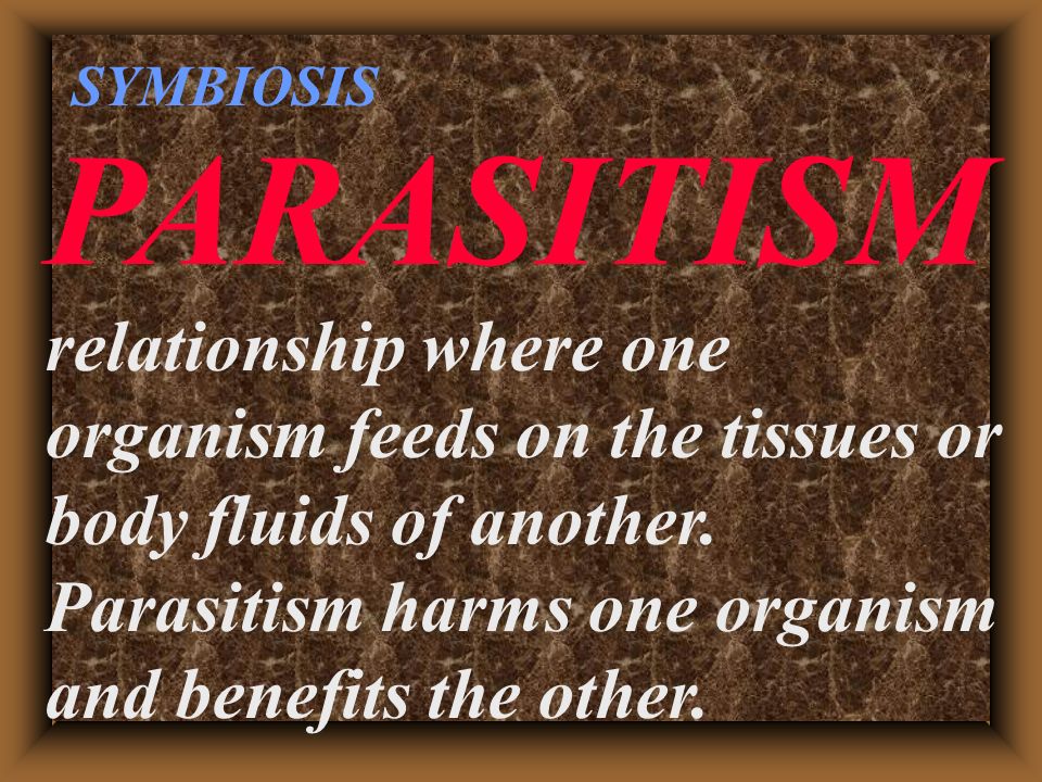 PARASITISM relationship where one organism feeds on the tissues or body fluids of another.