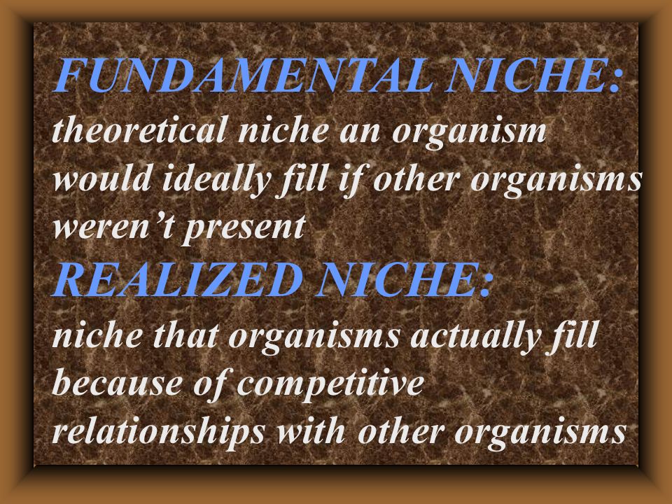 FUNDAMENTAL NICHE: theoretical niche an organism would ideally fill if other organisms weren’t present REALIZED NICHE: niche that organisms actually fill because of competitive relationships with other organisms