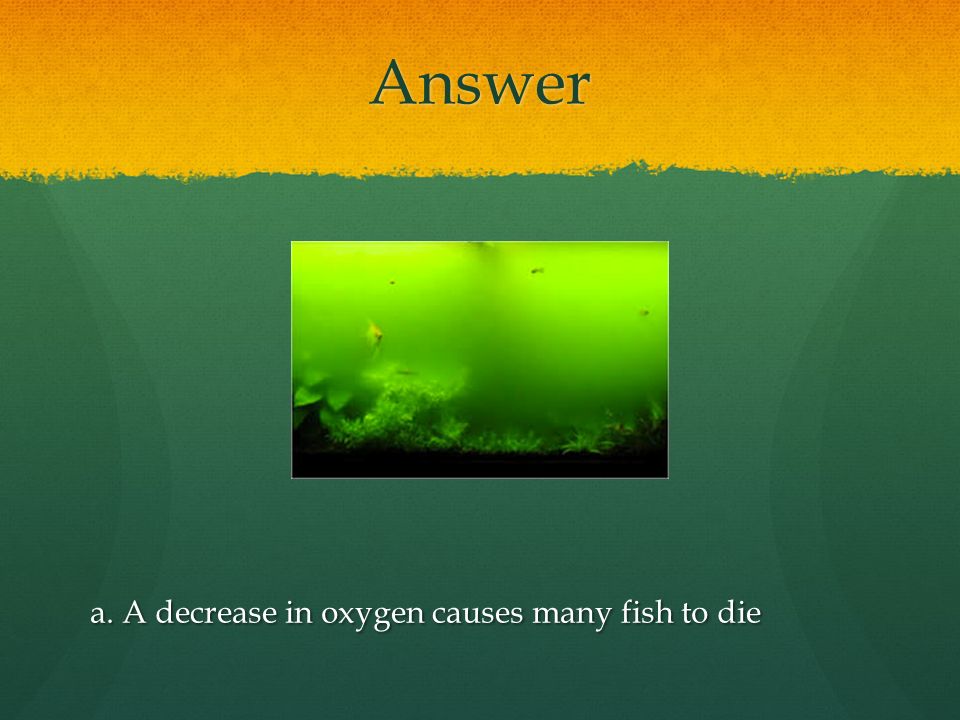 Answer a. A decrease in oxygen causes many fish to die