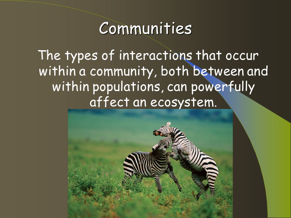 Communities. Communities Community: Different populations that live  together in the same area. Includes an animals niche and/or habitat. - ppt  download