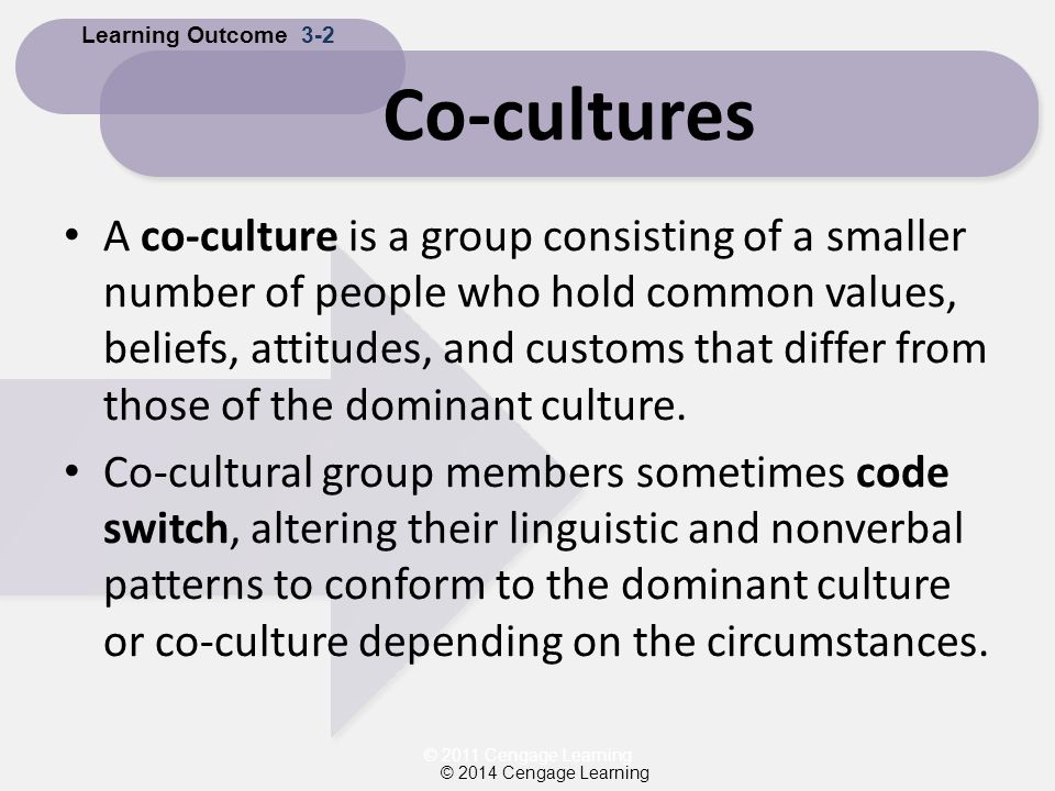 co culture examples