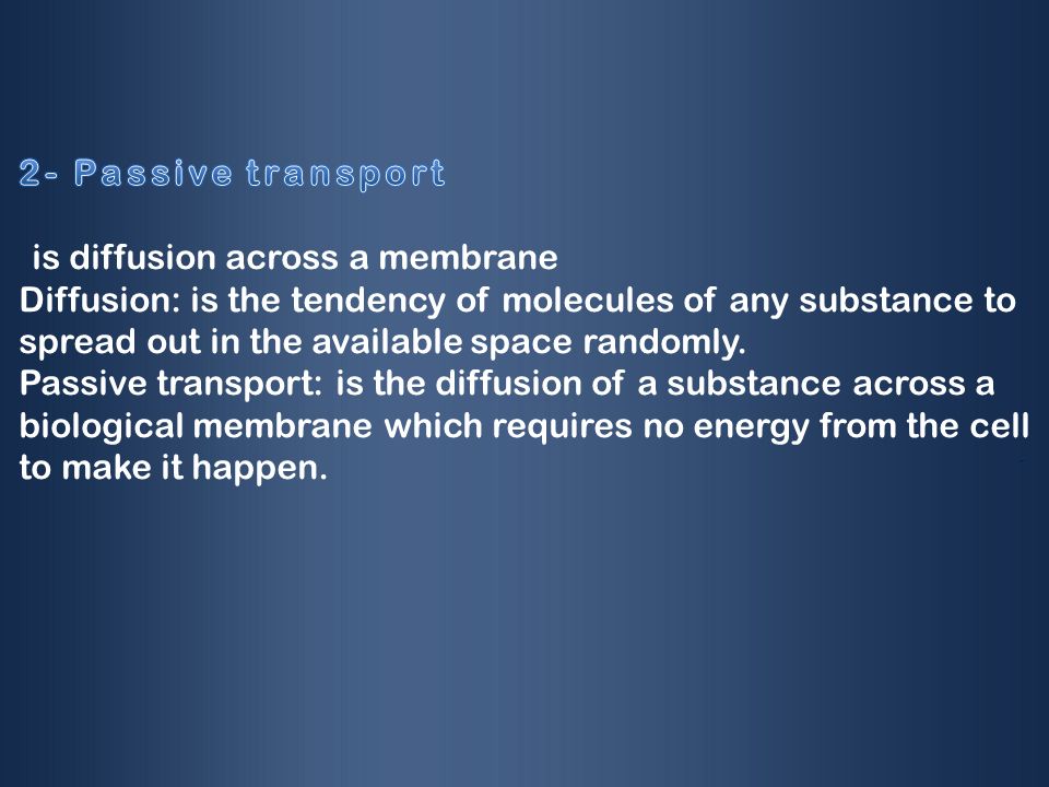 Membrane Structure & Function. Membrane Structure and Function A ...