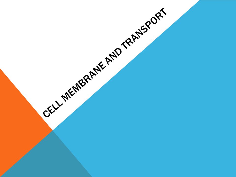 CELL MEMBRANE AND TRANSPORT