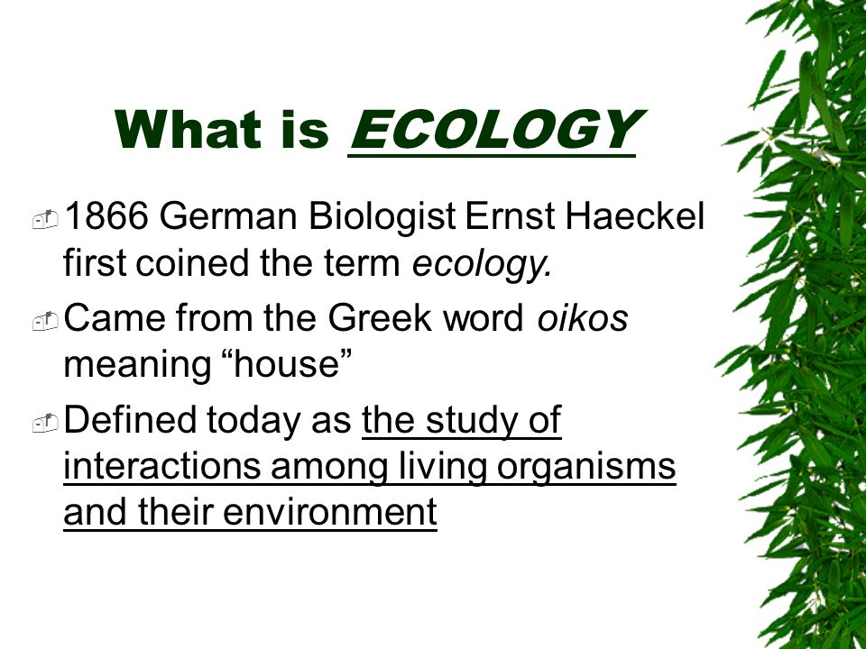 The Biosphere. What is ECOLOGY  1866 German Biologist Ernst Haeckel first  coined the term ecology.  Came from the Greek word oikos meaning “house” -  ppt download