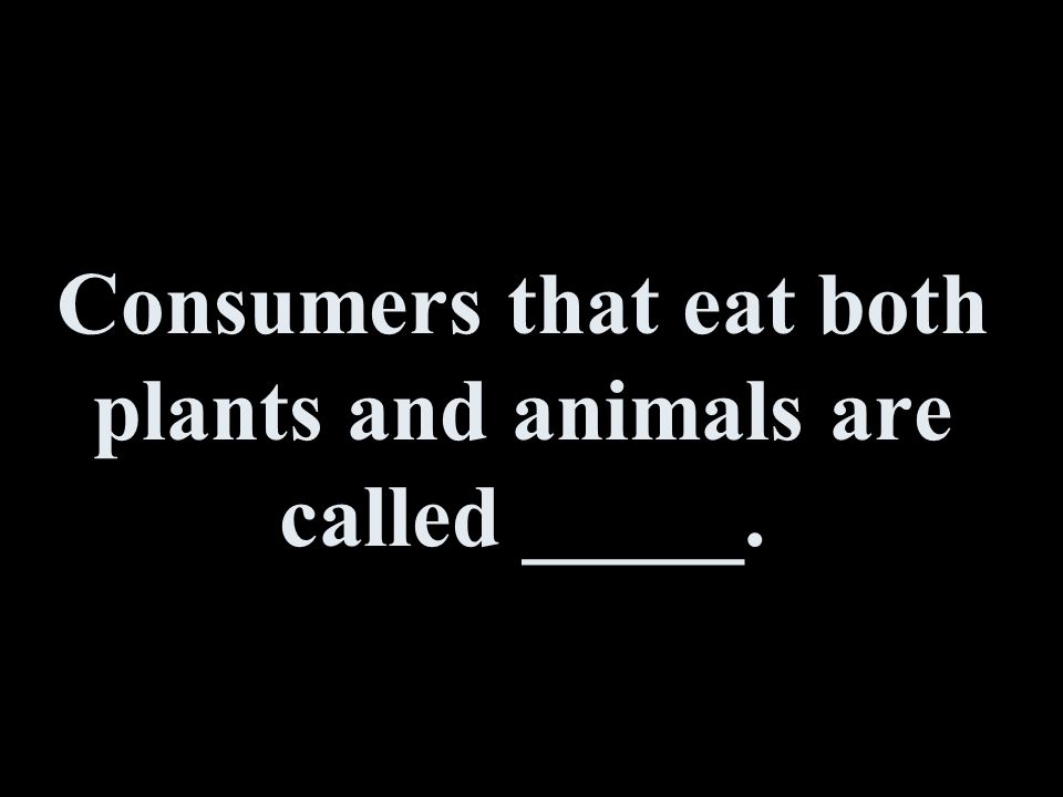 CH Review Consumers that eat both plants and animals are called _____. -  ppt download