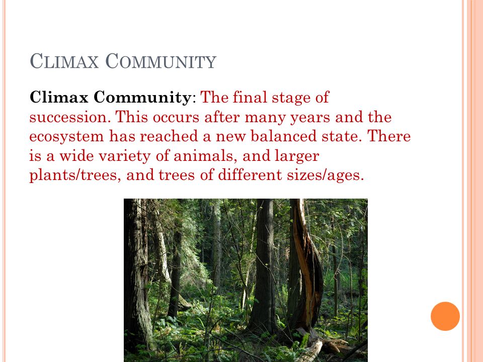 C LIMAX C OMMUNITY Climax Community : The final stage of succession.
