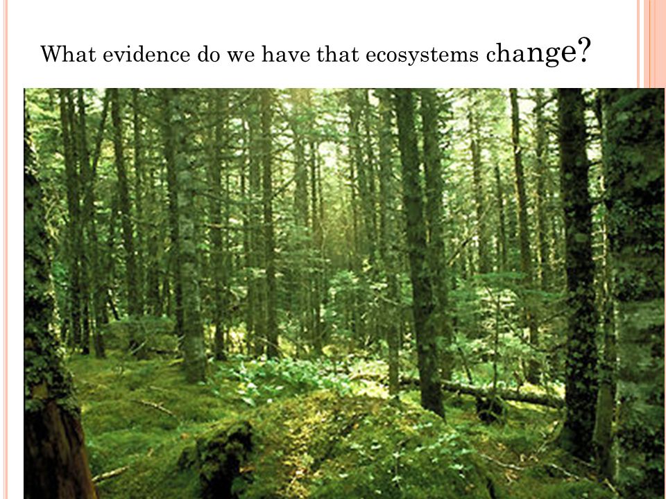 What evidence do we have that ecosystems c ha ng e