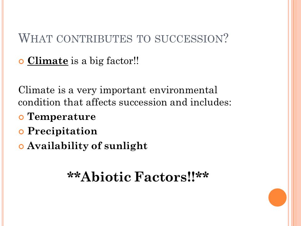 W HAT CONTRIBUTES TO SUCCESSION . Climate is a big factor!.