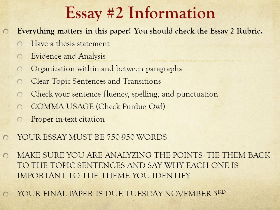 Sample Essays For High School You Should Check The Essay Rubric Compare And Contrast Essay Topics For High School also Cause And Effect Essay Topics For High School Last Minute Advice Essay Revision Suggestions Everything Matters In Proposal Example Essay