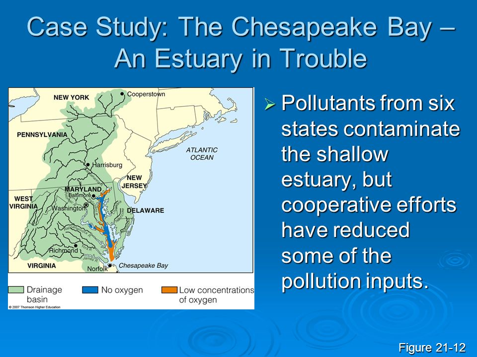 Case Study: The Chesapeake Bay – An Estuary in Trouble  Pollutants from six states contaminate the shallow estuary, but cooperative efforts have reduced some of the pollution inputs.