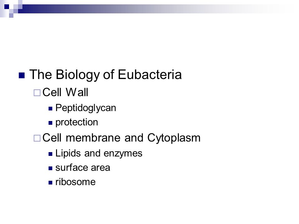 The Biology of Eubacteria  Cell Wall Peptidoglycan protection  Cell membrane and Cytoplasm Lipids and enzymes surface area ribosome