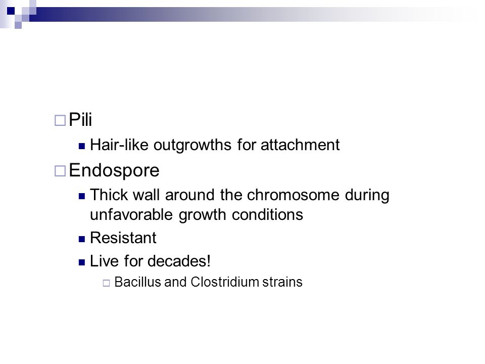  Pili Hair-like outgrowths for attachment  Endospore Thick wall around the chromosome during unfavorable growth conditions Resistant Live for decades.