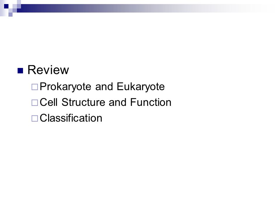 Microorganisms Bacteria And Viruses Chapter 19 Review