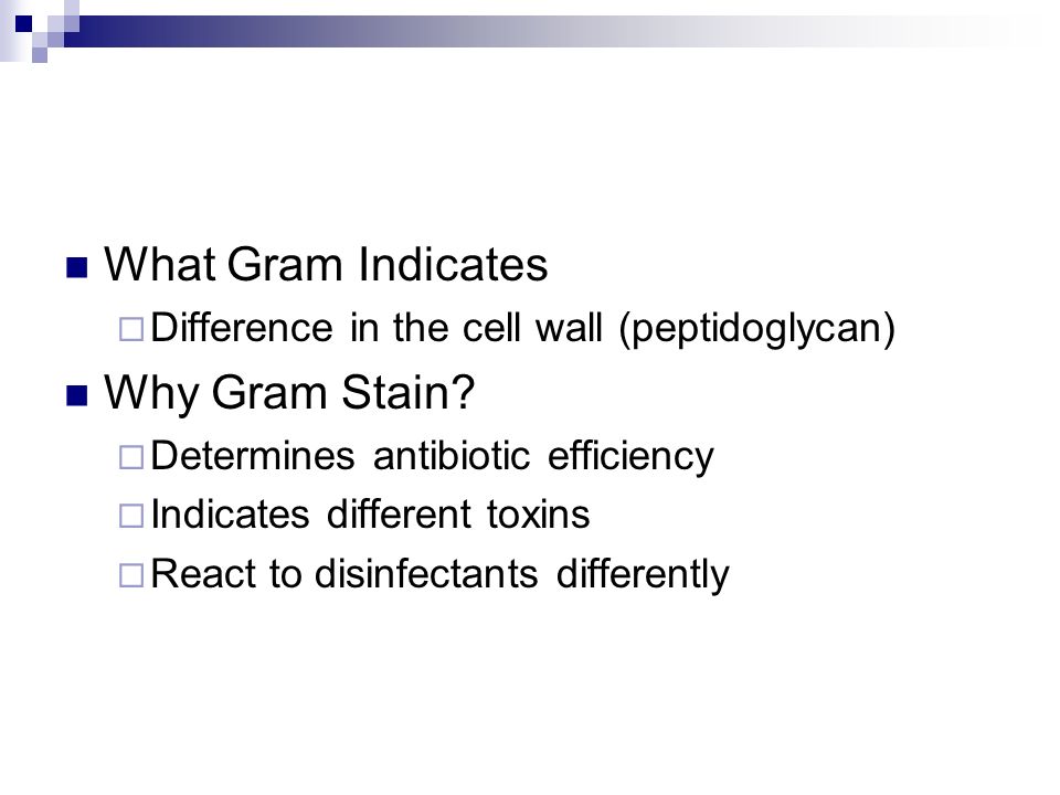 What Gram Indicates  Difference in the cell wall (peptidoglycan) Why Gram Stain.