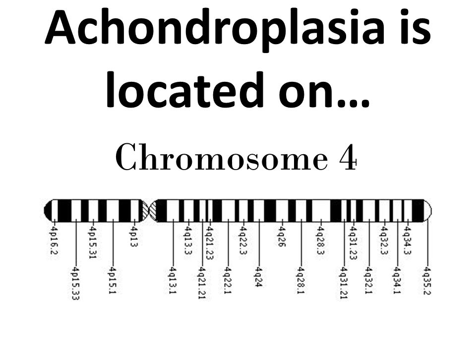 dwarfism karyotype