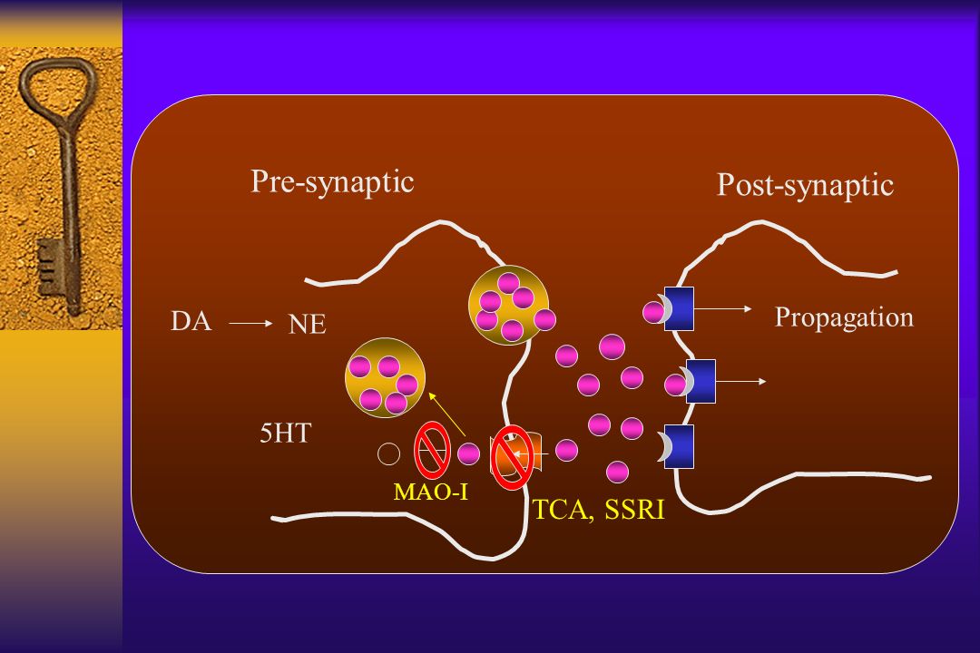 Pre-synaptic Post-synaptic DA NE 5HT Propagation TCA, SSRI MAO-I