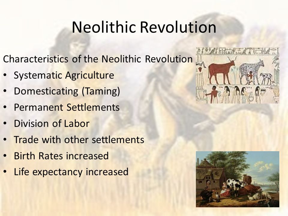 neolithic revolution characteristics