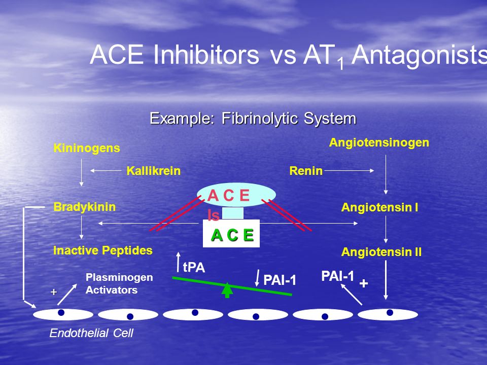 Kininogens Bradykinin Inactive Peptides A C E Kallikrein Renin Endothelial Cell Plasminogen Activators Angiotensin II Angiotensin I Angiotensinogen PAI-1 + ACE Inhibitors vs AT 1 Antagonists + tPA A C E Is PAI-1 Example: Fibrinolytic System