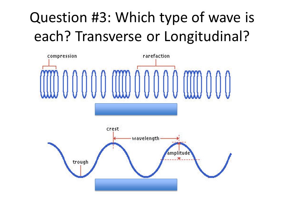 Question #3: Which type of wave is each Transverse or Longitudinal
